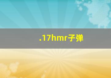 .17hmr子弹