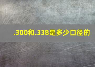 .300和.338是多少口径的