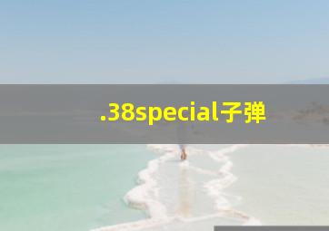 .38special子弹