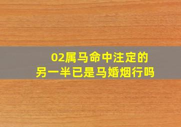 02属马命中注定的另一半已是马婚烟行吗