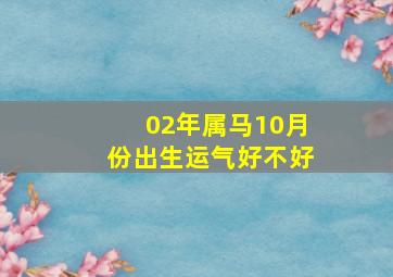 02年属马10月份出生运气好不好