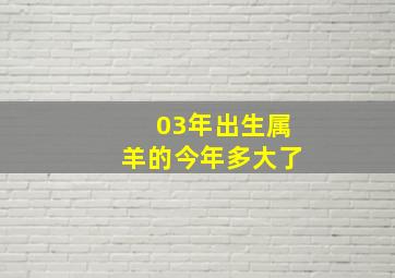 03年出生属羊的今年多大了