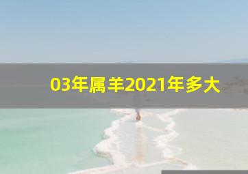 03年属羊2021年多大