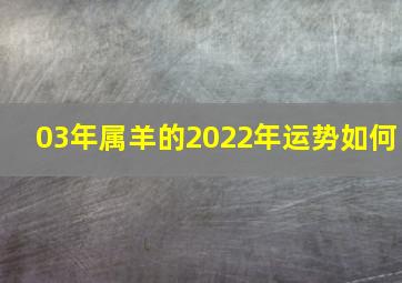 03年属羊的2022年运势如何