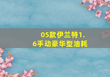 05款伊兰特1.6手动豪华型油耗