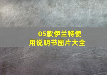 05款伊兰特使用说明书图片大全