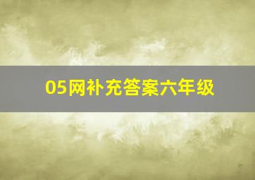 05网补充答案六年级