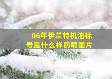 06年伊兰特机油标号是什么样的呢图片