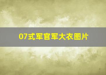 07式军官军大衣图片