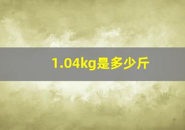 1.04kg是多少斤