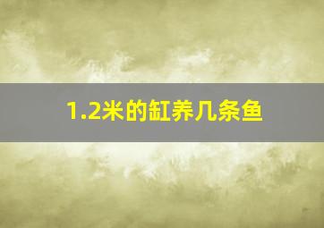 1.2米的缸养几条鱼