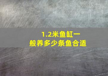 1.2米鱼缸一般养多少条鱼合适