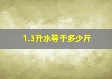 1.3升水等于多少斤