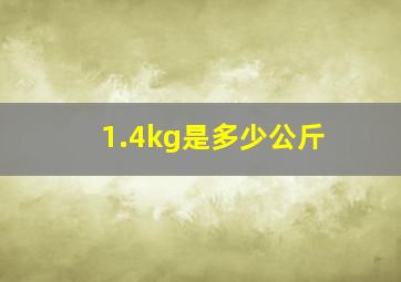 1.4kg是多少公斤