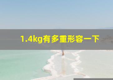 1.4kg有多重形容一下