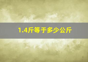 1.4斤等于多少公斤