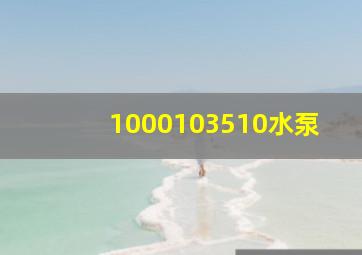 1000103510水泵