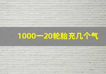 1000一20轮胎充几个气