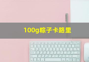 100g粽子卡路里