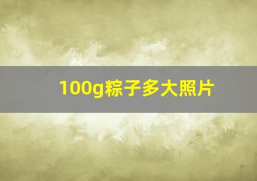 100g粽子多大照片