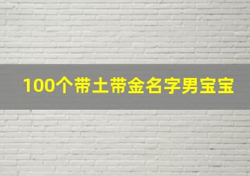 100个带土带金名字男宝宝