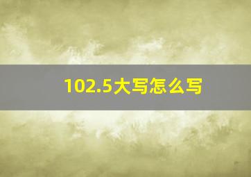 102.5大写怎么写