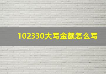 102330大写金额怎么写