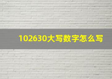 102630大写数字怎么写