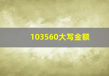 103560大写金额