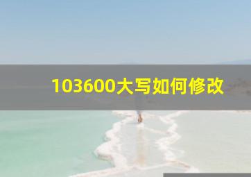 103600大写如何修改