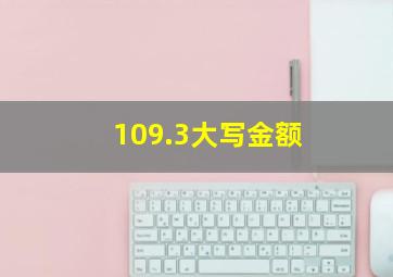 109.3大写金额