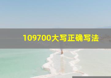 109700大写正确写法