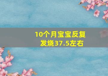 10个月宝宝反复发烧37.5左右