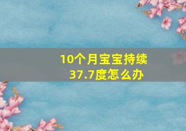 10个月宝宝持续37.7度怎么办