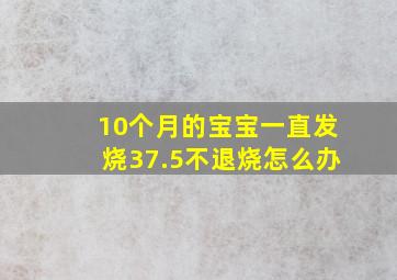 10个月的宝宝一直发烧37.5不退烧怎么办