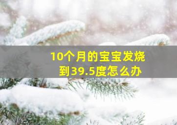 10个月的宝宝发烧到39.5度怎么办