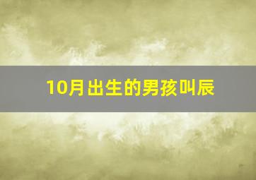 10月出生的男孩叫辰