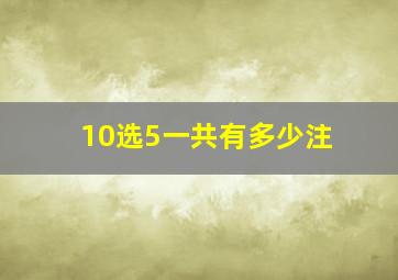 10选5一共有多少注