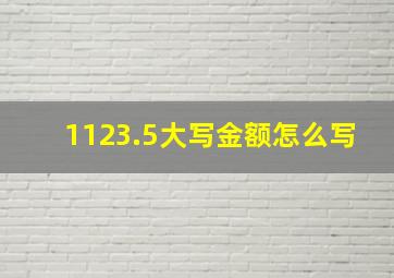 1123.5大写金额怎么写