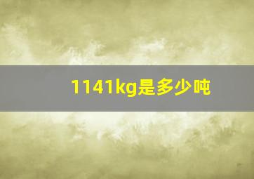 1141kg是多少吨