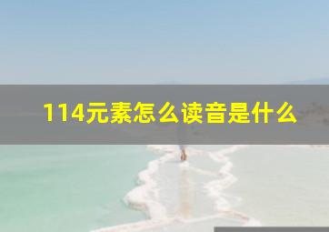 114元素怎么读音是什么