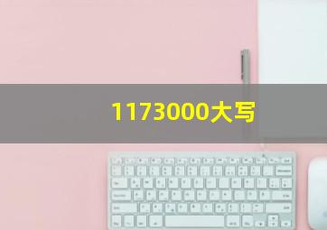 1173000大写