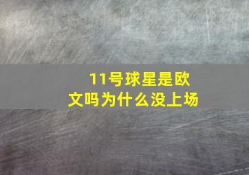 11号球星是欧文吗为什么没上场