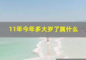 11年今年多大岁了属什么