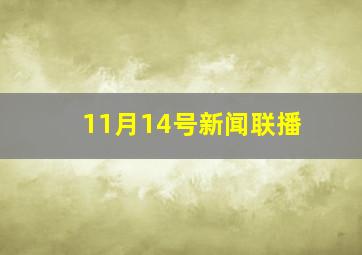 11月14号新闻联播