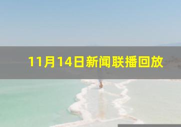 11月14日新闻联播回放