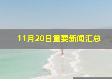 11月20日重要新闻汇总