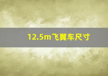 12.5m飞翼车尺寸