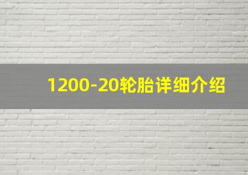 1200-20轮胎详细介绍