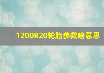 1200R20轮胎参数啥意思